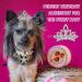 MTLEE 2-Piece Crystal Rhinestone Dog Tiara Crown Hair Clips - Pet Grooming Accessories (Silver) - Buy Online on GoSupps.com