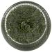 GREEN GARDEN Organic Freeze Dried Dill 0.28 OZ - Premium Quality Dill for Cooking and Seasoning - Buy Online on GoSupps.com