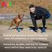 eta Title: Pawz Dog Black Dog Boots | Waterproof & Durable Pet Shoes - Buy Online on GoSupps.com