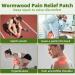 Tacilin Pain Relief Patches - 40 Count | Fast Relief for Knee Back Neck & Sore Muscles | Wormwood Wellness Plaster - Ship Worldwide - Buy Online on GoSupps.com