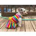 Fitwarm Rainbow Easter Dog Dress Vest Shirt for Medium Pets - Buy Online on GoSupps.com