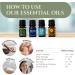 Ecodrop Wellness Oil Blend Collection - 4X 5ml Bottle Set | Natural & Organic Therapeutic Grade Aromatherapy Eucalyptus Lavender Tea Tree Lemon & Ravensara Essential Oil Blends Diffuser Gift Kit Wellness Blends - Buy Online on GoSupps.com