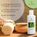 Schupp Massage Lotion Neutral 200ml - Moisturizing Cream for Dry Skin - Best Sliding Capacity - Made in Germany - International Shipping Available - Buy Online on GoSupps.com