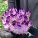 Natural Crystal Rough New Find Purpl Phantom Quartz Cluster Specimen400g - Buy Online on GoSupps.com