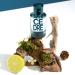 SOLINOTES Cedarwood Perfume for Men - Eau De Parfum | Refined Woody and Soothing Fragrance - Made in France - Vegan - 1.7 fl.oz - Buy Online on GoSupps.com