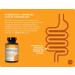 NatureWise Time Release Probiotics - Daily Care 60 Caplets for Digestive Health - Buy Online on GoSupps.com