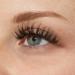 KISS My Lash But Bolder 3D Volume False Eyelashes - Bold Move Black | Natural-Look Fuller Vegan Faux Mink 3D Lashes - 1 Pair - Buy Online on GoSupps.com