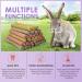 Bissap 36PCS Rabbit Chew Sticks | Mixed Natural Timothy Hay Oat Carrot Bunny Chew Toys and Treats - Ideal for Rabbits, Chinchillas, Guinea Pigs, Hamsters - Molar Snacks - Buy Online on GoSupps.com