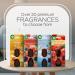 Air Wick Essential Mist Apple Cinnamon Fall Scent Starter Kit - 1 Kit - Buy Online on GoSupps.com