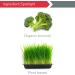 Vibrant Health Super Natural Boron â€“ 60 Vegetable Capsules for Bone & Hormonal Support - Buy Online on GoSupps.com