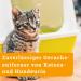 Buy Awiwa Odor Neutralizer & Cat Urine Stain Remover (1L) - Effective Pet Odor Control for Dogs & Cats | International Shipping Available - Buy Online on GoSupps.com