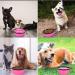 Coolon Collapsible Dog Bowl - Foldable Portable Water Bowl for Cats & Dogs 650ml Pink with Carabiners | Perfect for Travel - Buy Online on GoSupps.com