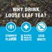 Tiesta Tea Peaches N' Green | Feuilles en vrac | Th vert p che lisse | M lange premium | Caf moyen | Faites chaud ou glac et infusez jusqu' 50 tasses bo te rechargeable 142 Peaches N Green 85 g (Pack of 1) - Buy Online on GoSupps.com