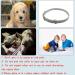 Buy Longhao Waterproof Dog Flea Collar (2 PCs) - Adjustable Tick Protection for Dogs & Cats Fits All Sizes - Shop Now! - Buy Online on GoSupps.com