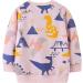 Girls Cotton Dinosaur Sweatshirt | Long Sleeve Pullover for Kids 2-3 Years | Toddler Casual Jumper T-Shirt | Age 1-12 Years - Buy Online on GoSupps.com