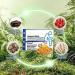 Diameleo Heca Herbal Hemorrhoid Capsules - Natural Relief & Rapid Treatment (8pcs) - Buy Online on GoSupps.com