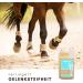 Supravit MSM & Glucosamine for Horses | 1000ml Liquid Joint Health Supplement | Support Tendons & Ligaments - Buy Online on GoSupps.com