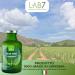  Lab7 LAB7 Pure Aloe Vera Juice from Sardinia - 500ml - Glass Bottle - Unfiltered Unpasteurized 1 item - Buy Online on GoSupps.com