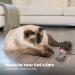 Petstages Squeak Squeak Mouse Plush Catnip Cat Toy - Buy Online on GoSupps.com