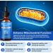 Methylene Blue 1% for Brain Health & Cognitive Support Promotes The Body's Metabolism for Increased Absorption Enhances Memory & Focus No Formaldehyde 60ml (2 Month Supply) - Buy Online on GoSupps.com