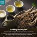 Premium Xin Qing Ginseng Oolong Tea - 200g | High Mountain Loose Leaf Ginseng Tea from Taiwan - Buy Online on GoSupps.com