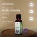 Buy 100% Pure Lavandin Grosso Essential Oil - Natural Undiluted Therapeutic Grade - 0.16 Fl.Oz (4.7 ml) - Fast International Shipping - Buy Online on GoSupps.com