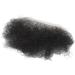 Fake Pubic Hair Fake Private Hair Breathable Soft Simulated Safe for Home (Short) - Buy Online on GoSupps.com
