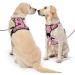 Nestrooad Checked Pink Dog Harness for Medium-Sized Dogs | Anti-Draw Padded Safety Belt | Neck 33-43cm Chest 43-64cm - Buy Online on GoSupps.com