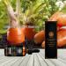 100% Pure Rose Aromatherapy Essential Oils | Therapeutic Quality Diffuser & Massage Oil - Set of 10ml Carrot Kernel Oil - Buy Online on GoSupps.com