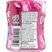 Dentyne Ice Sugar Free Arctic Bubble Gum Chewing Gum Pack of 6 Bottles Arctic Bubble 60 count (Pack of 6) - Buy Online on GoSupps.com