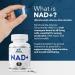 NAD Supplement for Anti-Aging and Cell Regeneration | NAD Booster 500mg Per Serving | NMN Supplement Alternative | Similar to Nicotinamide Riboside | 60 Capsules (30 Day Supply) 1 - Buy Online on GoSupps.com