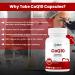 ORIBITE CoQ10 200mg 60 Veggie Capsules | Coenzyme Q10 Supplement for Cellular Energy & Heart Support | Antioxidant Support Formula | Ubiquinone Dietary Supplement (2) - Buy Online on GoSupps.com