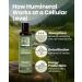 Humineral Fulvic Acid Trace Minerals Drops for Water - Raw Liquid Ionic Minerals with Humic Acid & Electrolytes - Energy Immune & Gut Support Detox - Vegan Plant-Based Concentrate - 8 oz - Buy Online on GoSupps.com