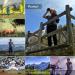 10x50 Powerful Binoculars for Adults | Low Light Night Vision, Large Eyepiece, Quick Focus | Waterproof Compact Binoculars for Bird Watching, Hunting, Concerts - Buy Online on GoSupps.com