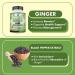 Organic Ginger Root Capsules 3850mg - Immune Support Supplement with Ginger Powder for Digestive Health - 90 Veg Capsules - Buy Online on GoSupps.com