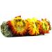 FAIZA NATURALS Sunflower White Sage Smudge Stick - 3 Pack | Cleansing and Purifying Bundle - Buy Online on GoSupps.com
