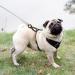 Premium Shock-Absorbing Linen Dog Tie Out Leash - 3-15m Length for Courtyard & Farm Use - Durable & Reliable (Silbrig) - Buy Online on GoSupps.com