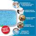 Buy LAMMWEK 17 x 21 Sniffing Carpet for Dogs - Washable Intelligence Toys with Suction Cups - Blue | International Shipping Available - Buy Online on GoSupps.com