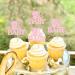 Ercadio 24 Pack Bear Oh Baby Cupcake Toppers Pink Glitter Bear Oh Baby Cupcake Picks Bear Oh Baby Cupcake Decorations Bear Themed Baby Shower Birthday Party Cake Decor Supplies Oh Baby Pink - Buy Online on GoSupps.com