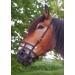Heavy Horse Parts Feeding Muzzle - Strong Standard Size No Throatlatch Durable Base Plate for International Shipping - Buy Online on GoSupps.com