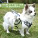 Buy Cotal Dog Bag Dispenser - Multifunctional Treat & Feces Bag Holder for Training - Green - Buy Online on GoSupps.com