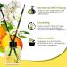 Air Space Fragrance Sticks | Jasmine Orange Flower Room Freshener | Fruity Floral Aromatherapy for Home - Buy Online on GoSupps.com