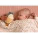Little Dutch 8715 Gift Set 3-Piece Flowers & Butterflies - Comforter Grasping Toy & Stuffed Toy | International Shipping Available - Buy Online on GoSupps.com