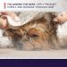 Hydra Soft-Touch Spray | Fragrance-Free Moisturizer for Dogs & Cats - 16.9oz - Buy Online on GoSupps.com