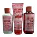 Bath & Body Works Mrs Claus Shower Gel Body Wash Body Lotion and Ultimate Hydration Body Cream 3 Piece Set