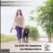 Buy Kuri Pai 3m Dog Leash for Large Dogs - Comfortable Sustainable Bamboo Rehabilitation Leash - Gray (L: 280cm x 2.5cm) - Buy Online on GoSupps.com