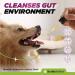 Natural Dewormer for Dogs | 100% Natural | Contains 3 Medicinal Herbs | Supports Intestinal & Gut Health | Gentle & Effective Formula - Buy Online on GoSupps.com