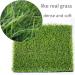 Hamiledyi Chicken Nesting Box Pads - Artificial Grass Rug for Coop - 12x12, 8PCS - Buy Online on GoSupps.com