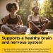Nature's Way B-100 Complex with B2 Coenzyme - 100 Capsules for Energy & Wellness - Buy Online on GoSupps.com