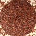 RAW HERBS/JADI BOOTI DRIED ALSI BEEJ FLAX SEED LINSEED LINUM USITATISSIMUM (100GM)